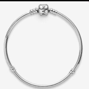 PANDORA MOMENTS SNAKE CHARM BRACELET (NWOT)